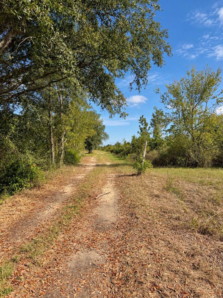 Property Photo: 907 Marianna Highway GA 39845