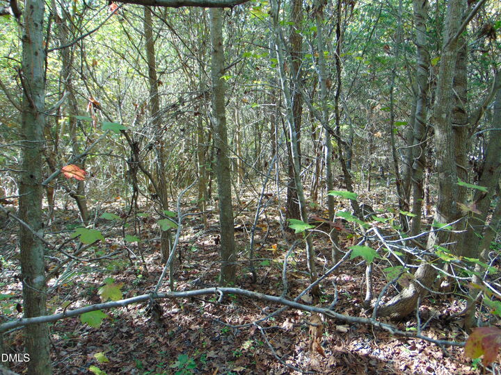 Property Photo: Lot 11 Bill Smith Rd NC 27315