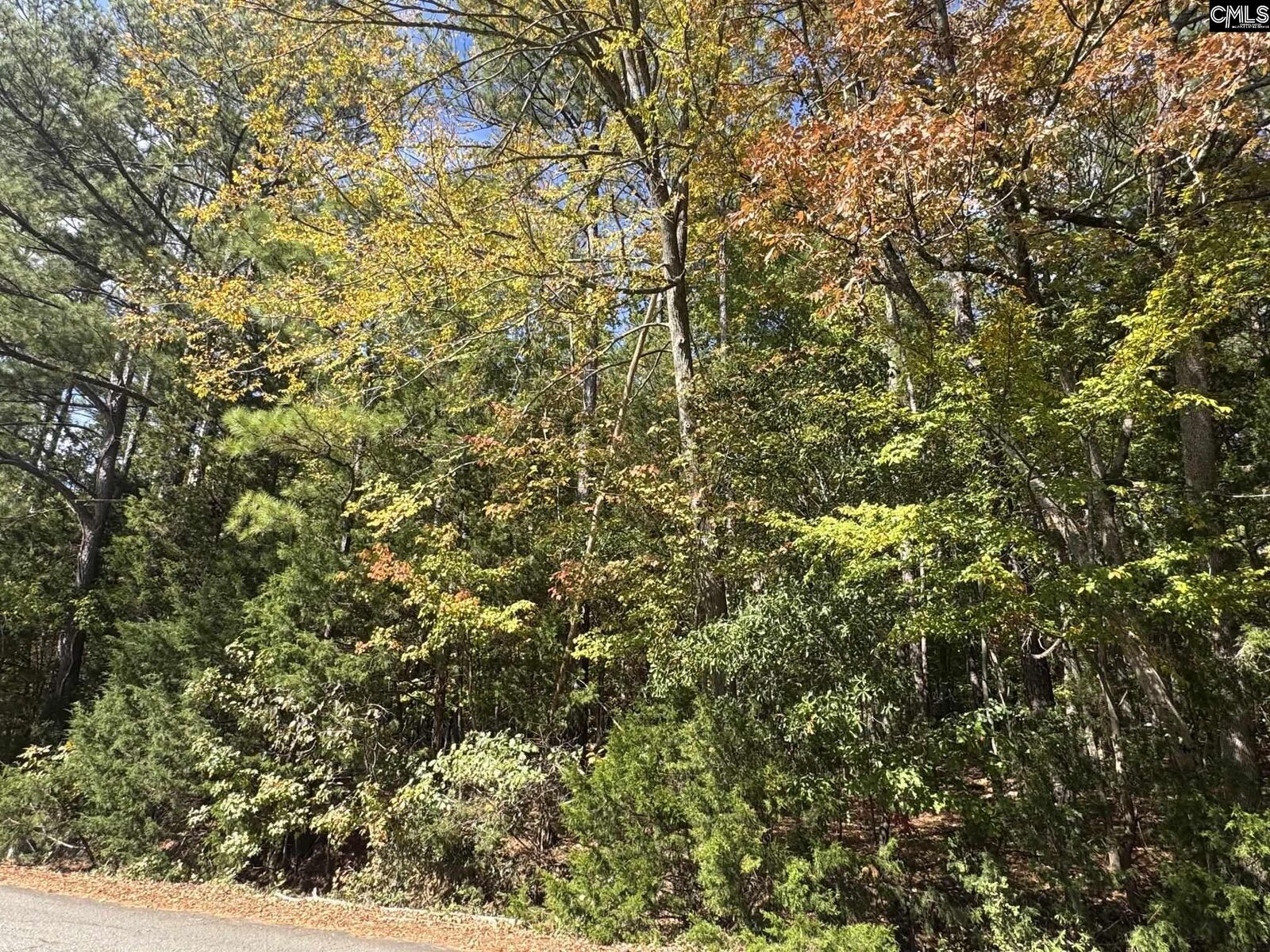 Property Photo: Lot 3 E. Selwood Lane SC 29212