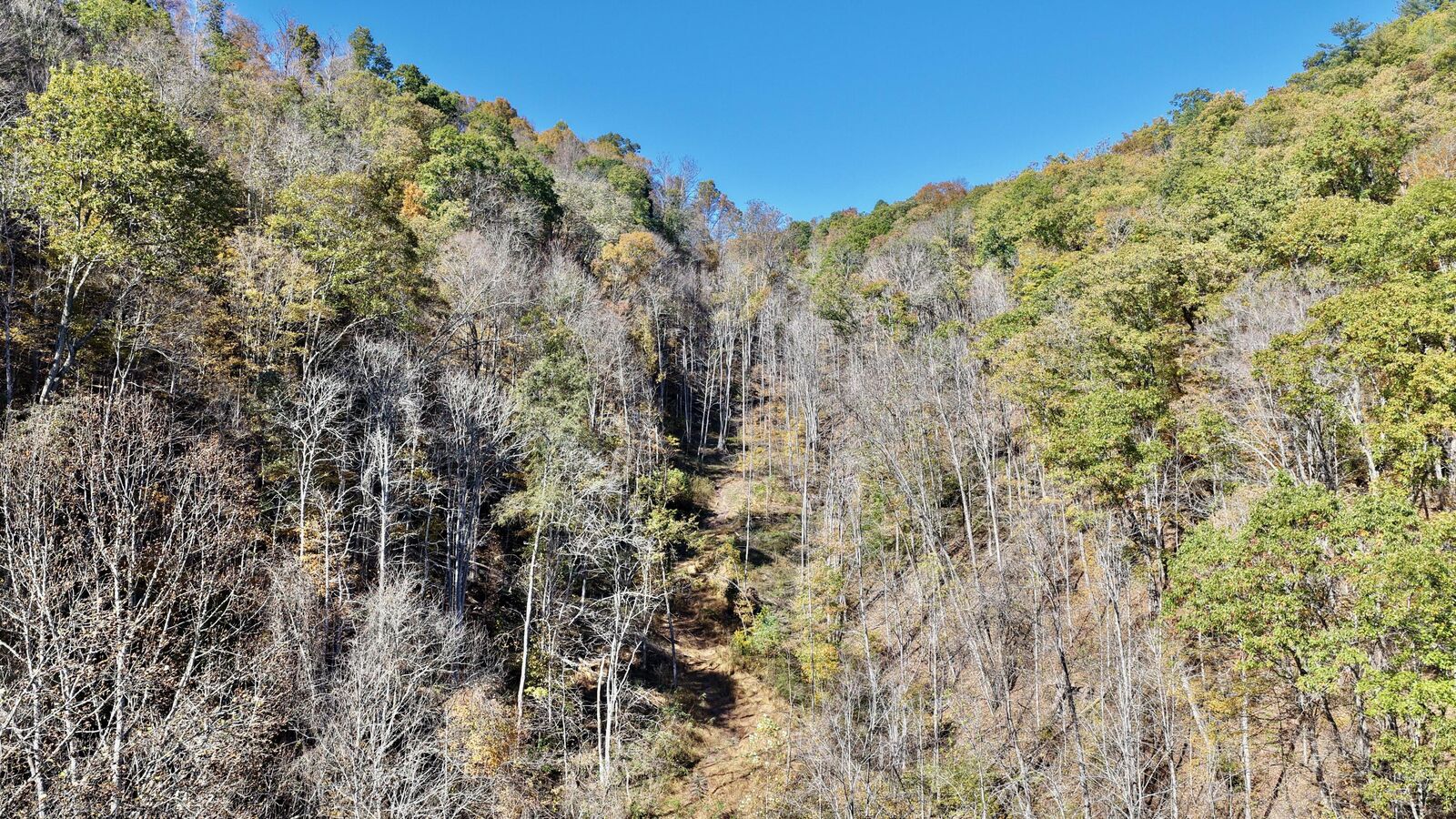 Property Photo: Snake Run Rd WV 24910
