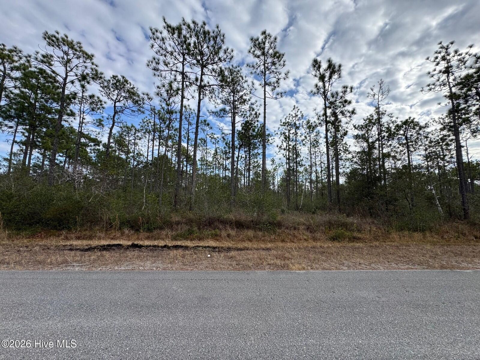 Property Photo: Lot 22 22 Pepperhill Road NC 28461