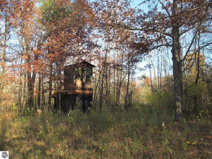Property Photo: 10189 W Forest Road MI 49665