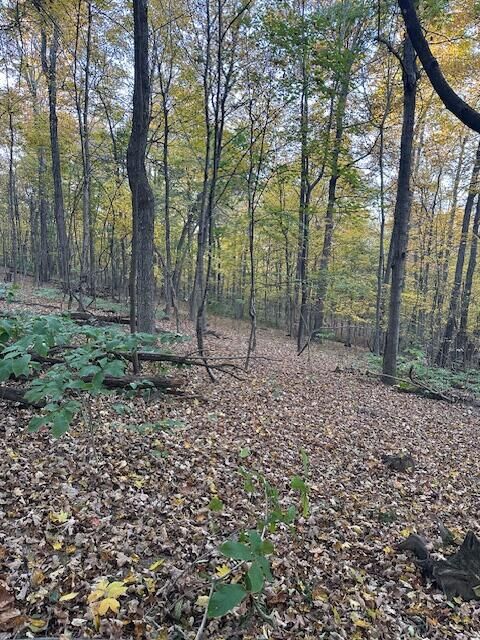 Property Photo: 0 England Hollow Road OH 45601