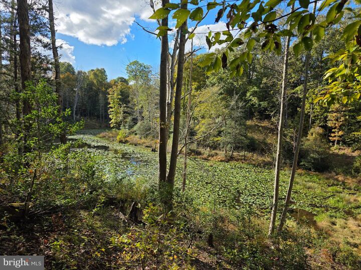 Property Photo:  Spindles Mill Pond Road  VA 22476 