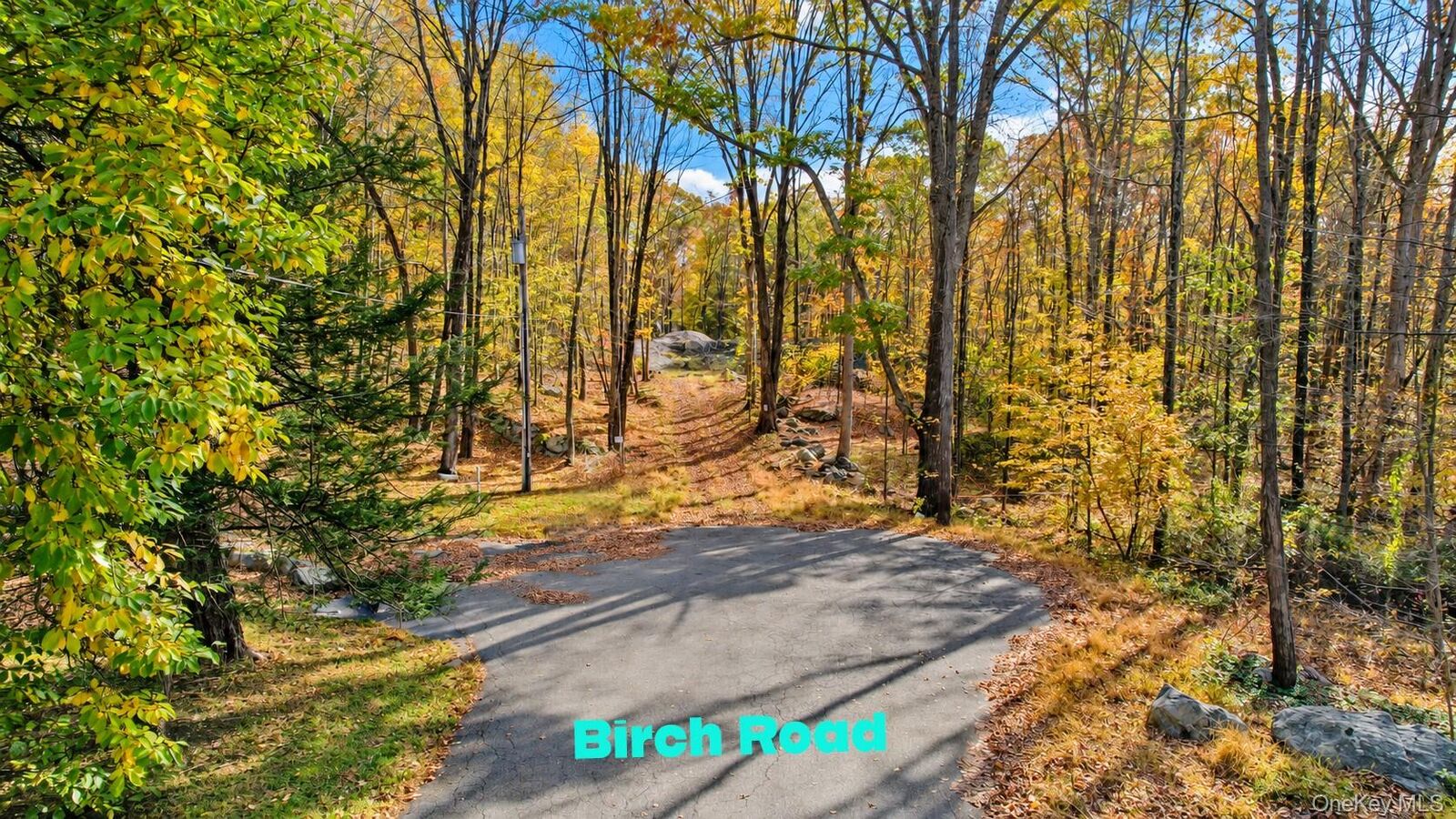 Property Photo: 44 Birch Road NY 10579