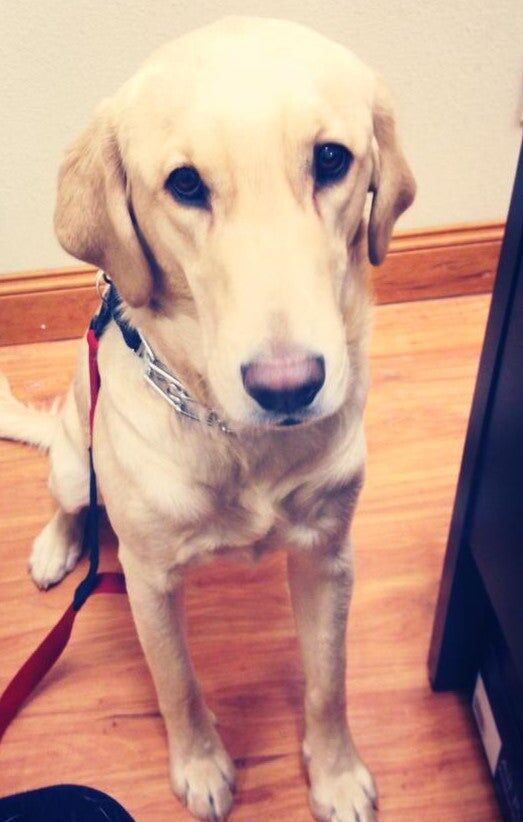 Jovi Dawson,  in Billings, Americana