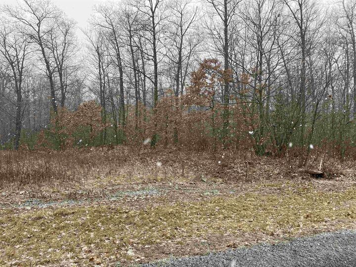 Property Photo: Lot 6 Acorn Ridge Road WI 54455