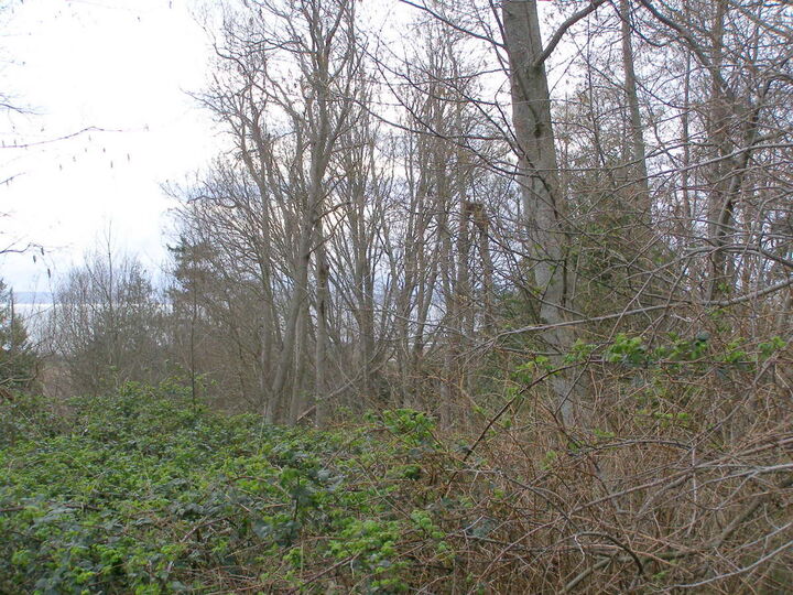 0 Nimitz Drive  Coupeville WA 98239 photo