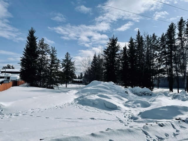 Photo de la propriété:  189 Wintergreen Street  NT  