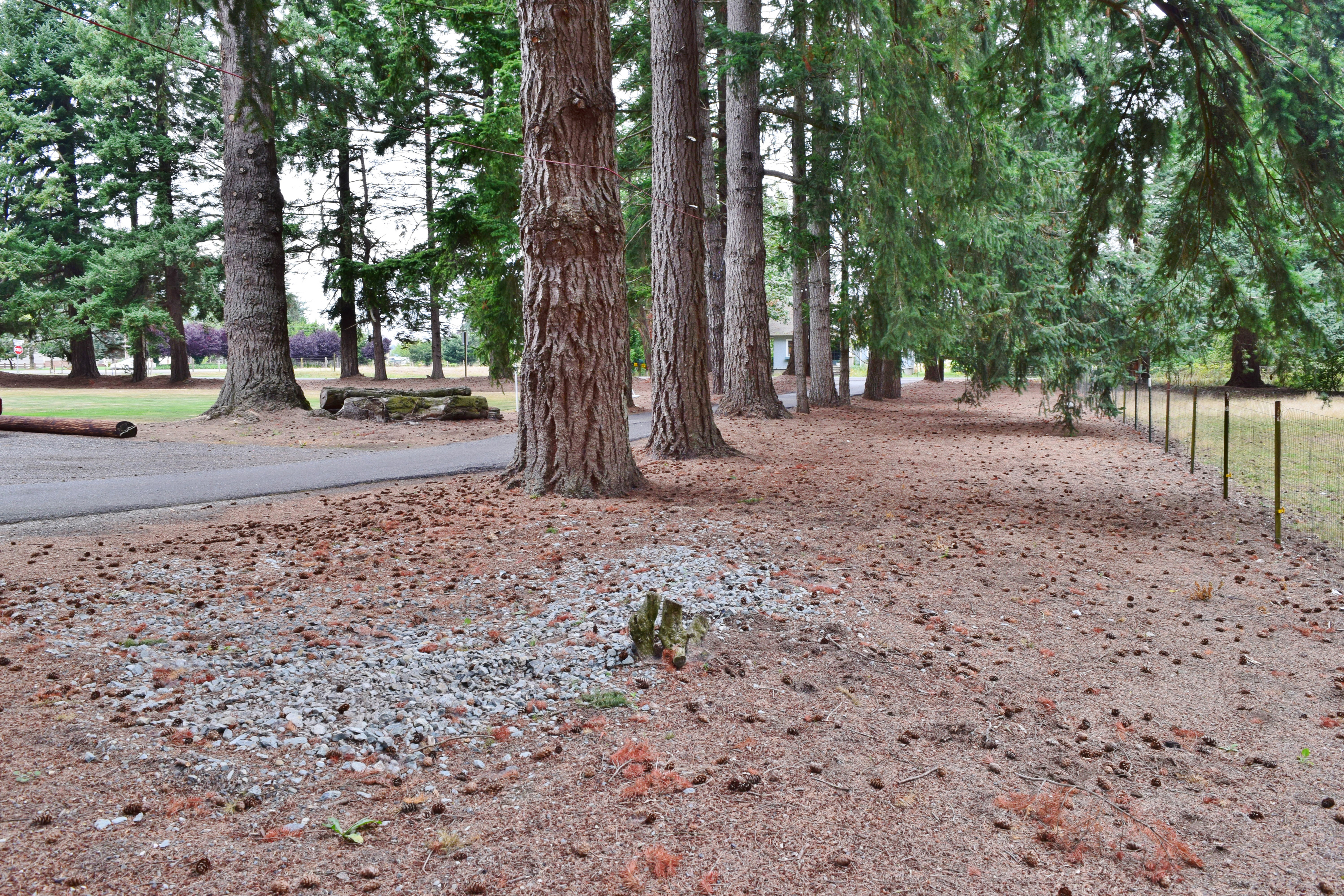 Property Photo: Property Views 919 Van Dyk Rd WA 98264