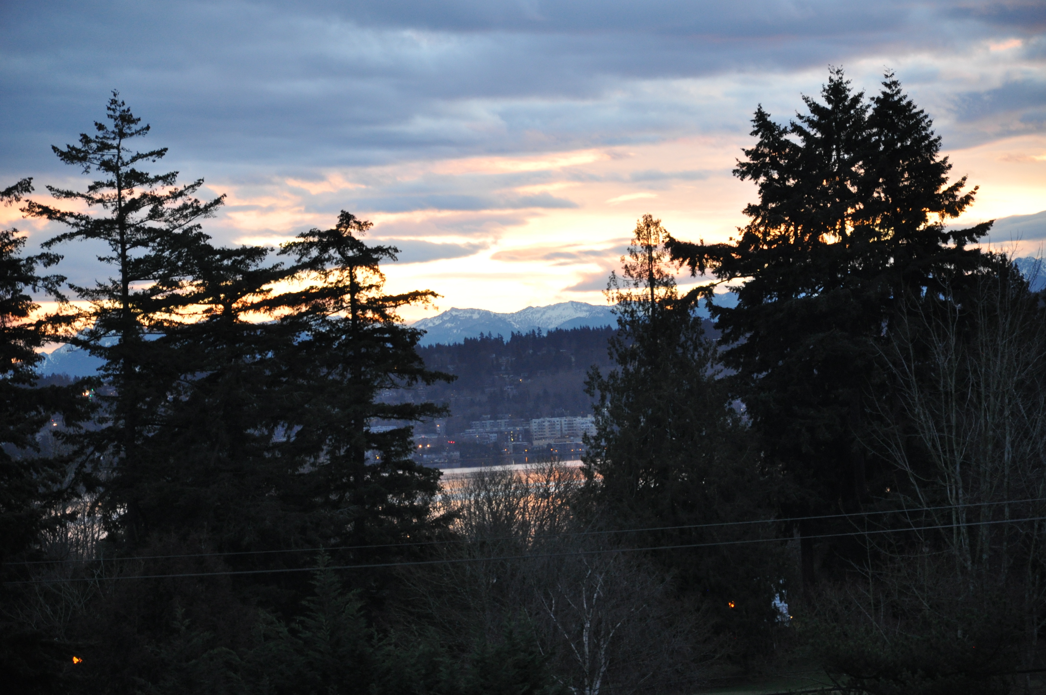 Property Photo: 6704 Park Point Wy NE E-401 WA 98115
