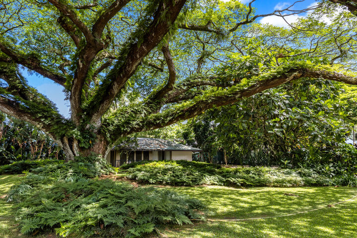 Property Photo: 187 Dowsett Avenue HI 96817