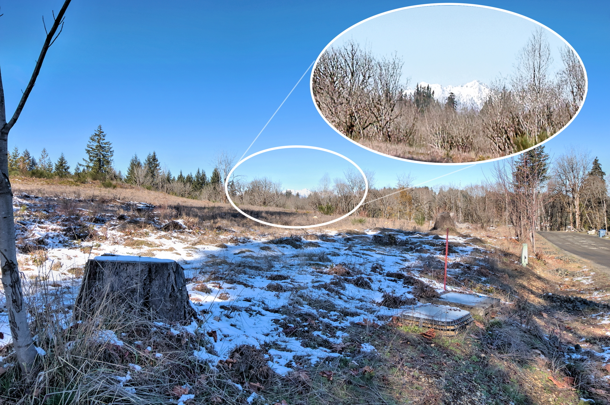 Property Photo: 3 Lot 3 Xx SE Mill Creek Road WA 98584