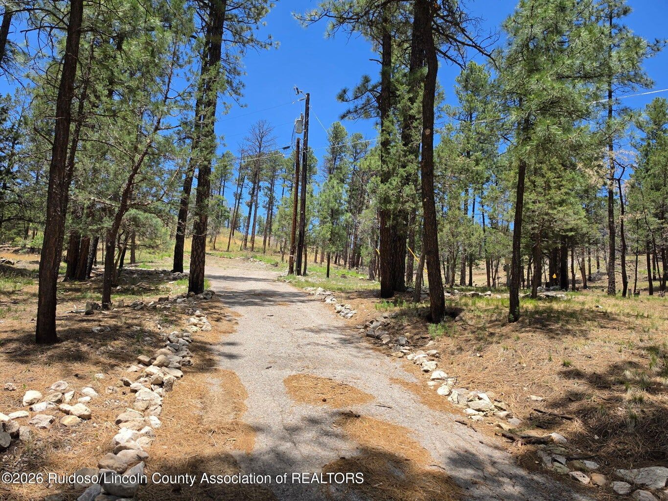 Property Photo: 209 Lake Shore Drive (Lot 3) NM 88312