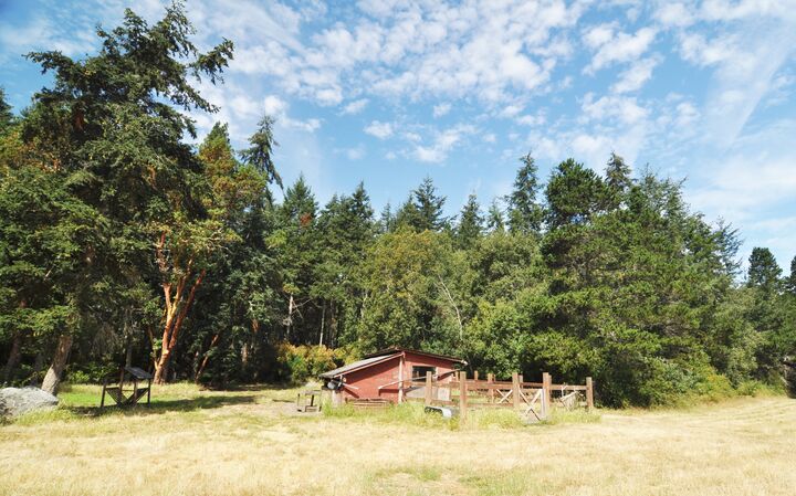Property Photo: Sheep shed 0 Redgate Lane  WA 98261 